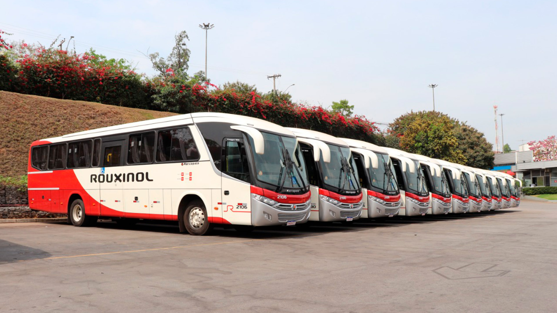 Rouxinol Transportes